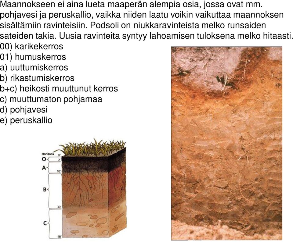 Podsoli on niukkaravinteista melko runsaiden sateiden takia.