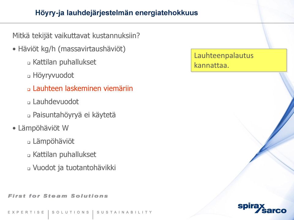 Häviöt kg/h (massavirtaushäviöt) Kattilan puhallukset Höyryvuodot