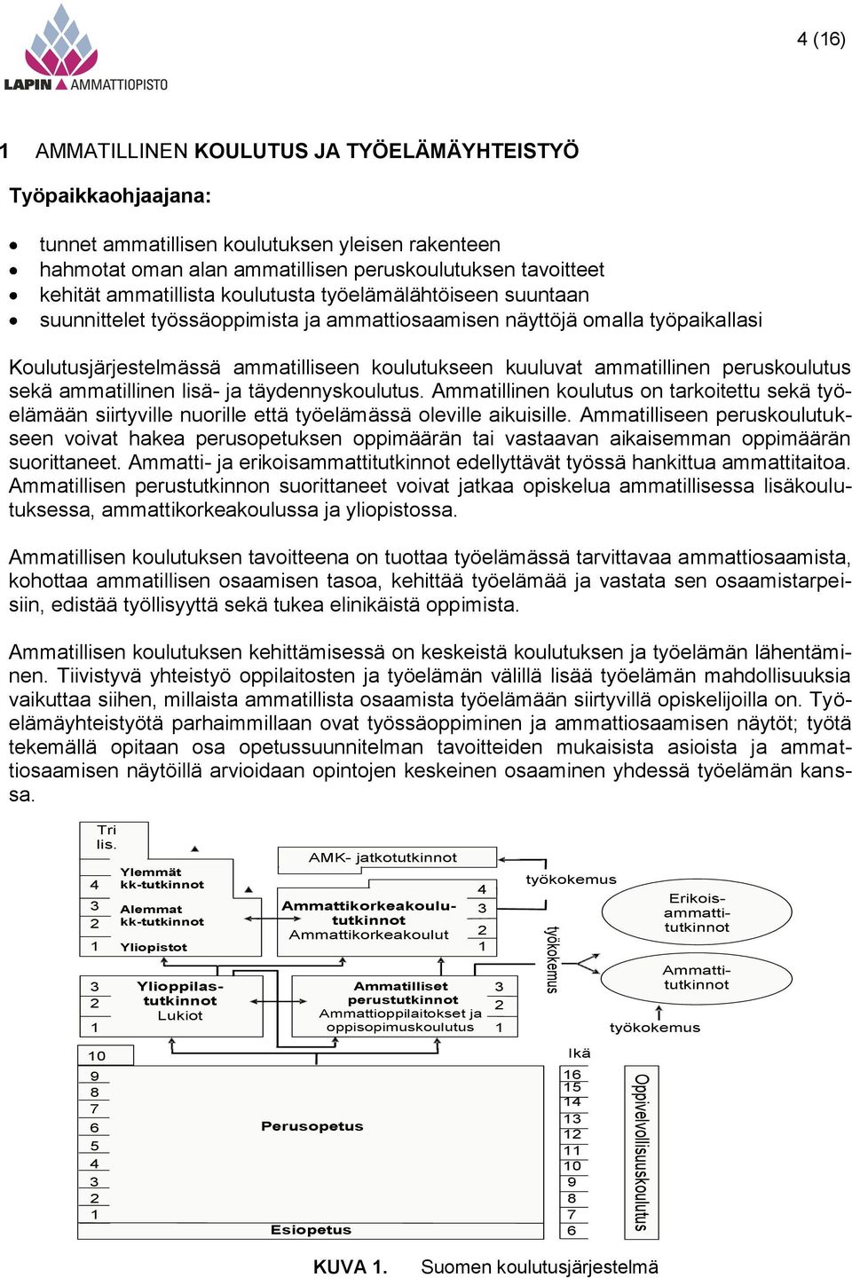 ammatilliseen koulutukseen kuuluvat ammatillinen peruskoulutus sekä ammatillinen lisä- ja täydennyskoulutus.