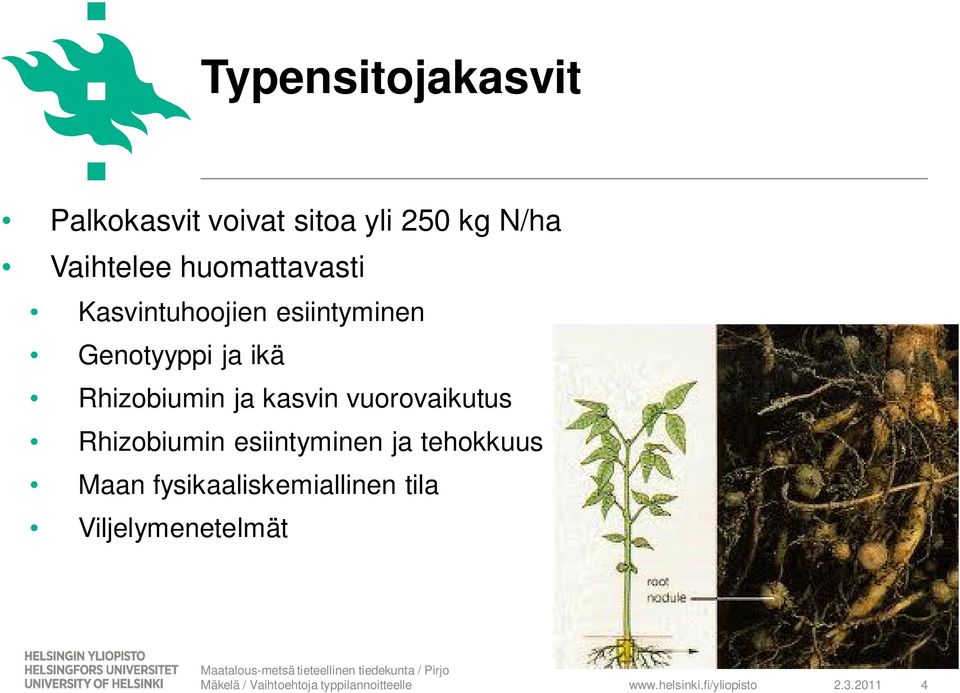 ja ikä Rhizobiumin ja kasvin vuorovaikutus Rhizobiumin