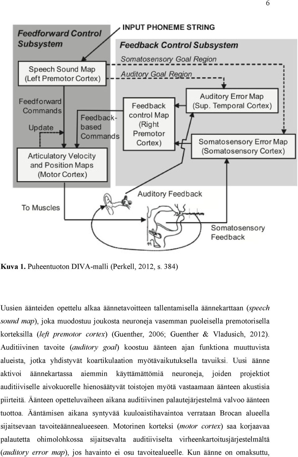 cortex) (Guenther, 2006; Guenther & Vladusich, 2012).