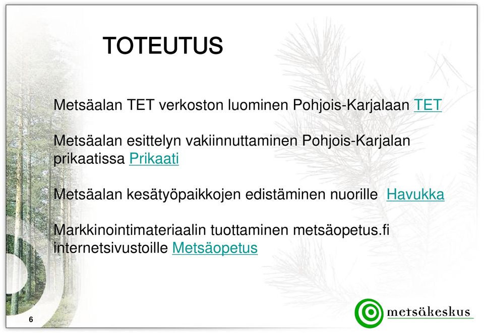 Prikaati Metsäalan kesätyöpaikkojen edistäminen nuorille Havukka