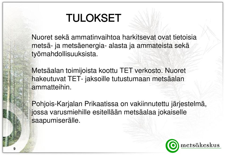 Nuoret hakeutuvat TET- jaksoille tutustumaan metsäalan ammatteihin.