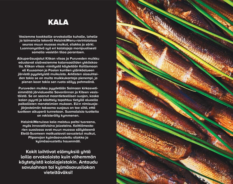 Kitkan viisas -nimitystä käytetään Koillismaan eli Kuusamon ja Posion kuntien ylänköalueen järvistä pyydetyistä muikuista.