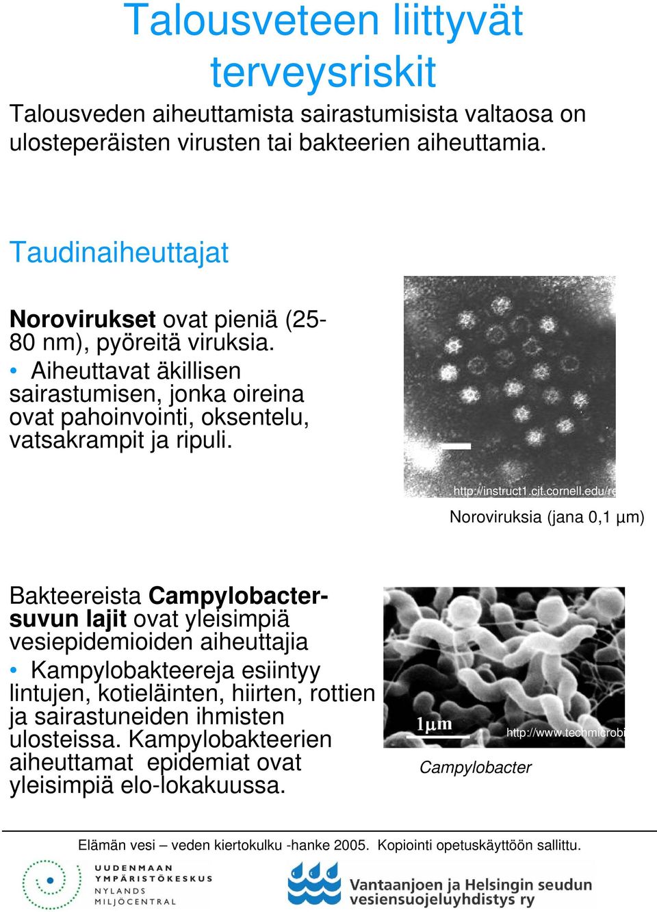 Aiheuttavat äkillisen sairastumisen, jonka oireina ovat pahoinvointi, oksentelu, vatsakrampit ja ripuli. http://instruct1.cit.cornell.