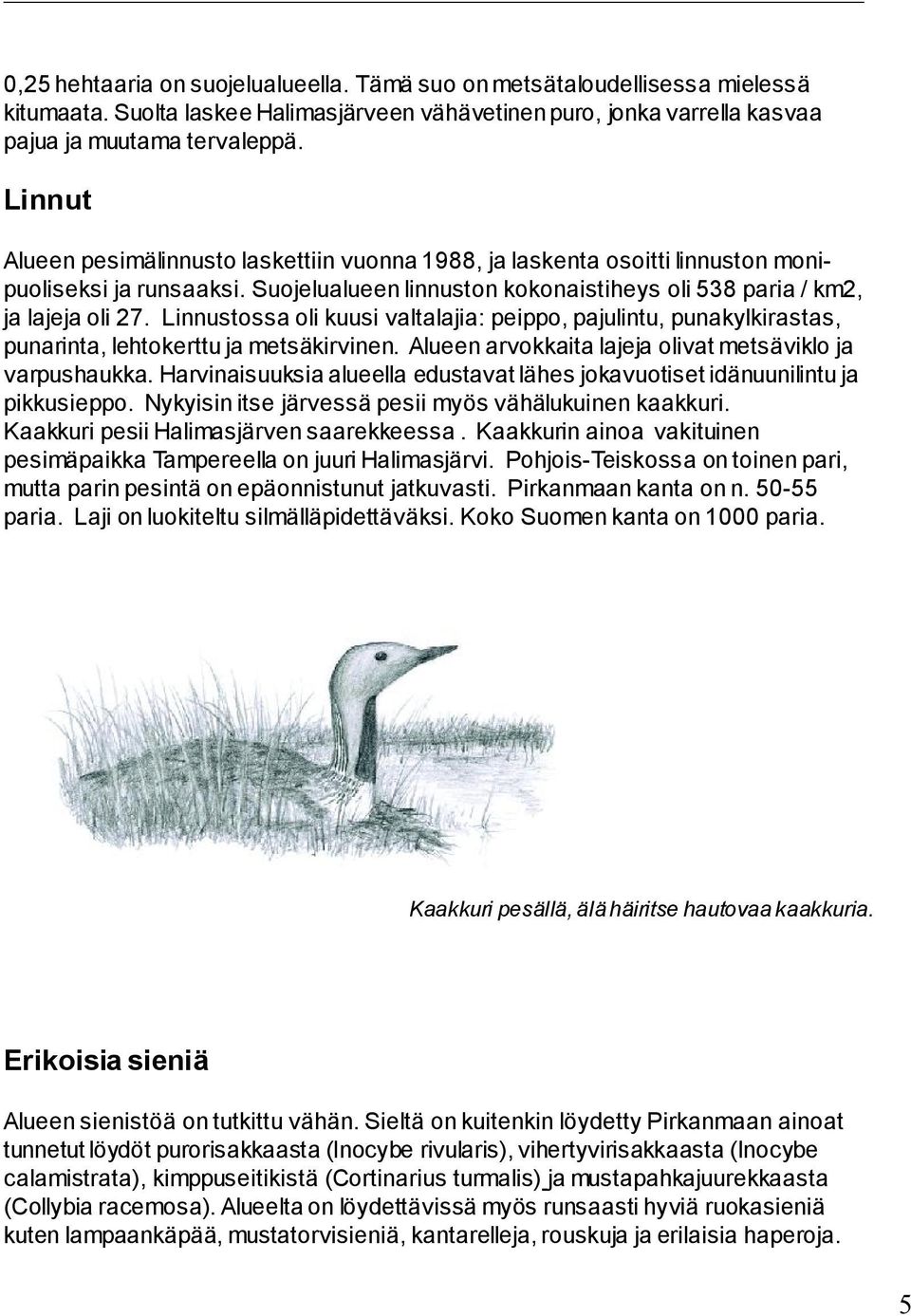 Linnustossa oli kuusi valtalajia: peippo, pajulintu, punakylkirastas, punarinta, lehtokerttu ja metsäkirvinen. Alueen arvokkaita lajeja olivat metsäviklo ja varpushaukka.