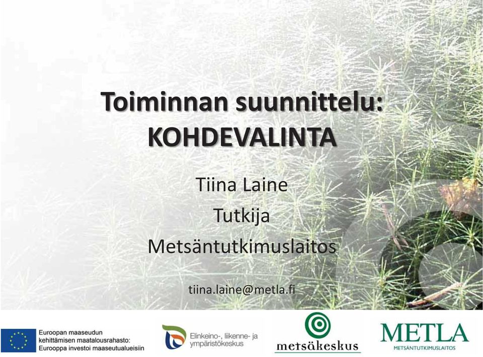 Tutkija
