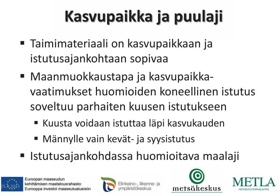 istutus soveltuu parhaiten kuusen istutukseen Kuusta voidaan istuttaa läpi