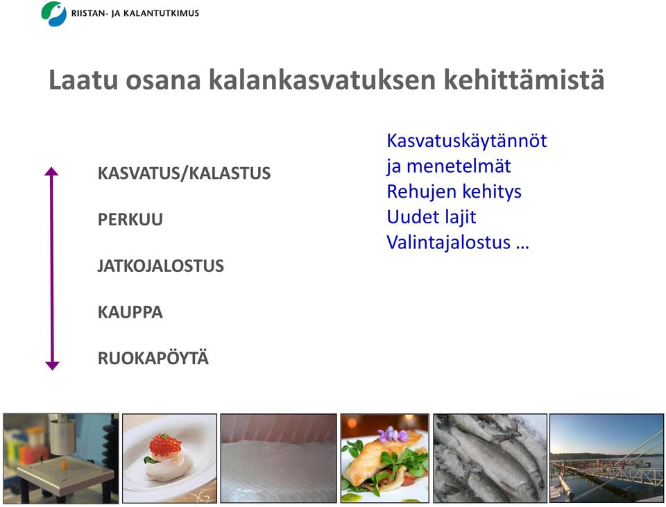 Kasvatuskäytännöt ja menetelmät Rehujen