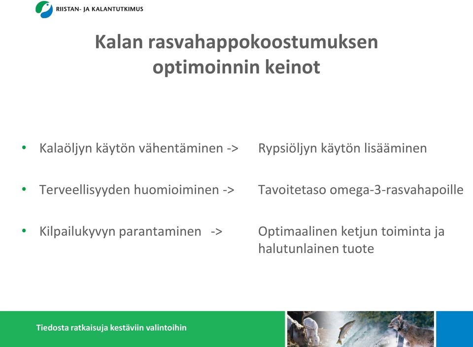 huomioiminen -> Tavoitetaso omega-3-rasvahapoille Kilpailukyvyn