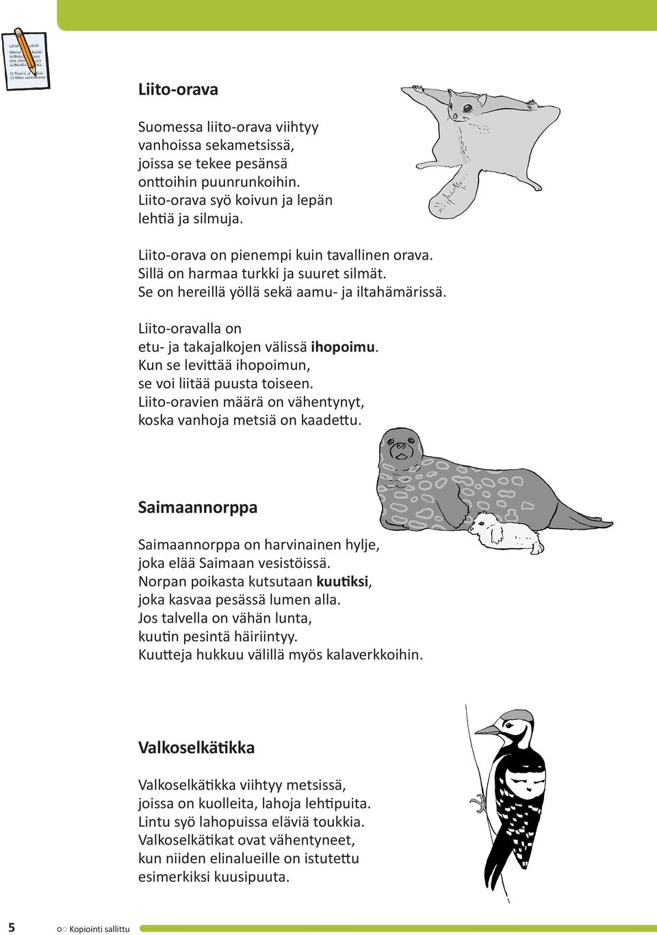 Kun se levittää ihopoimun, se voi liitää puusta toiseen. Liito-oravien määrä on vähentynyt, koska vanhoja metsiä on kaadettu.