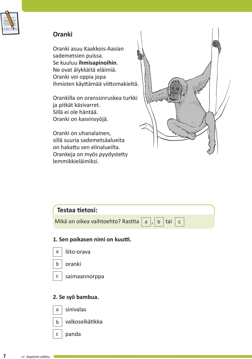 Oranki on kasvinsyöjä. Oranki on uhanalainen, sillä suuria sademetsäalueita on hakattu sen elinalueilta.