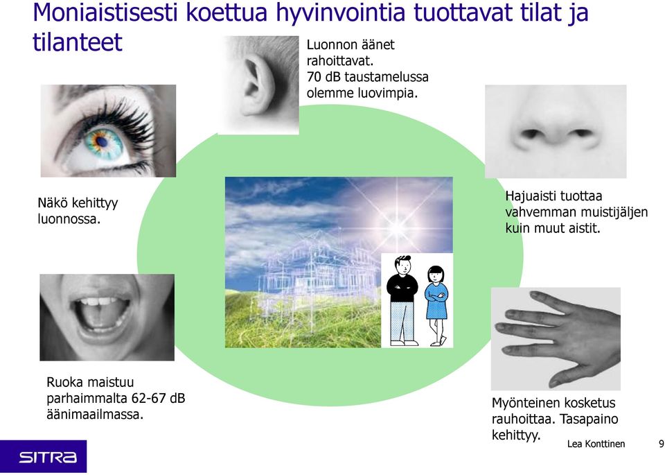 Hajuaisti tuottaa vahvemman muistijäljen kuin muut aistit.