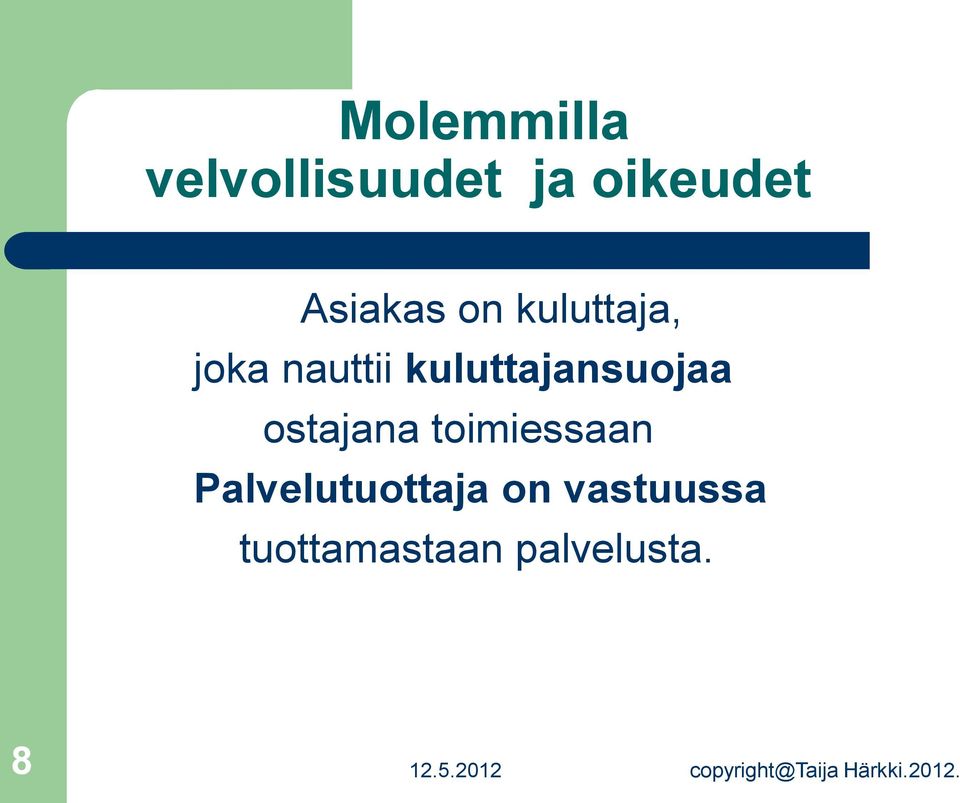 toimiessaan Palvelutuottaja on vastuussa