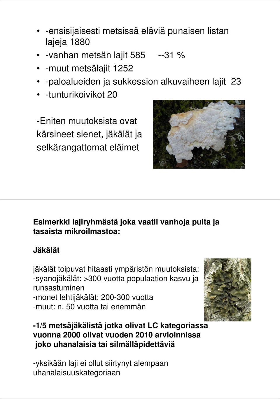 toipuvat hitaasti ympäristön muutoksista: -syanojäkälät: >300 vuotta populaation kasvu ja runsastuminen -monet lehtijäkälät: 200-300 vuotta -muut: n.