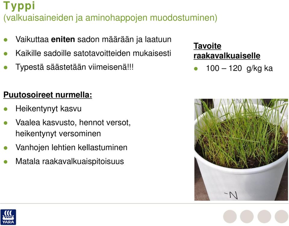 !! Tavoite raakavalkuaiselle 100 120 g/kg ka Puutosoireet nurmella: Heikentynyt kasvu Vaalea