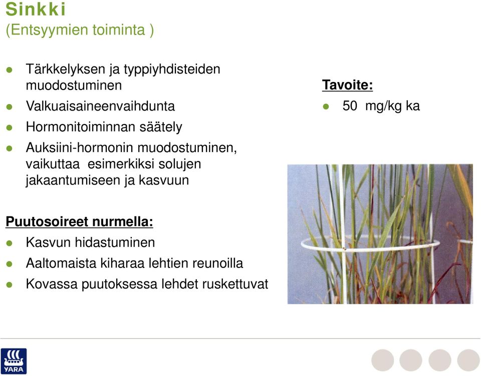 vaikuttaa esimerkiksi solujen jakaantumiseen ja kasvuun Tavoite: 50 mg/kg ka