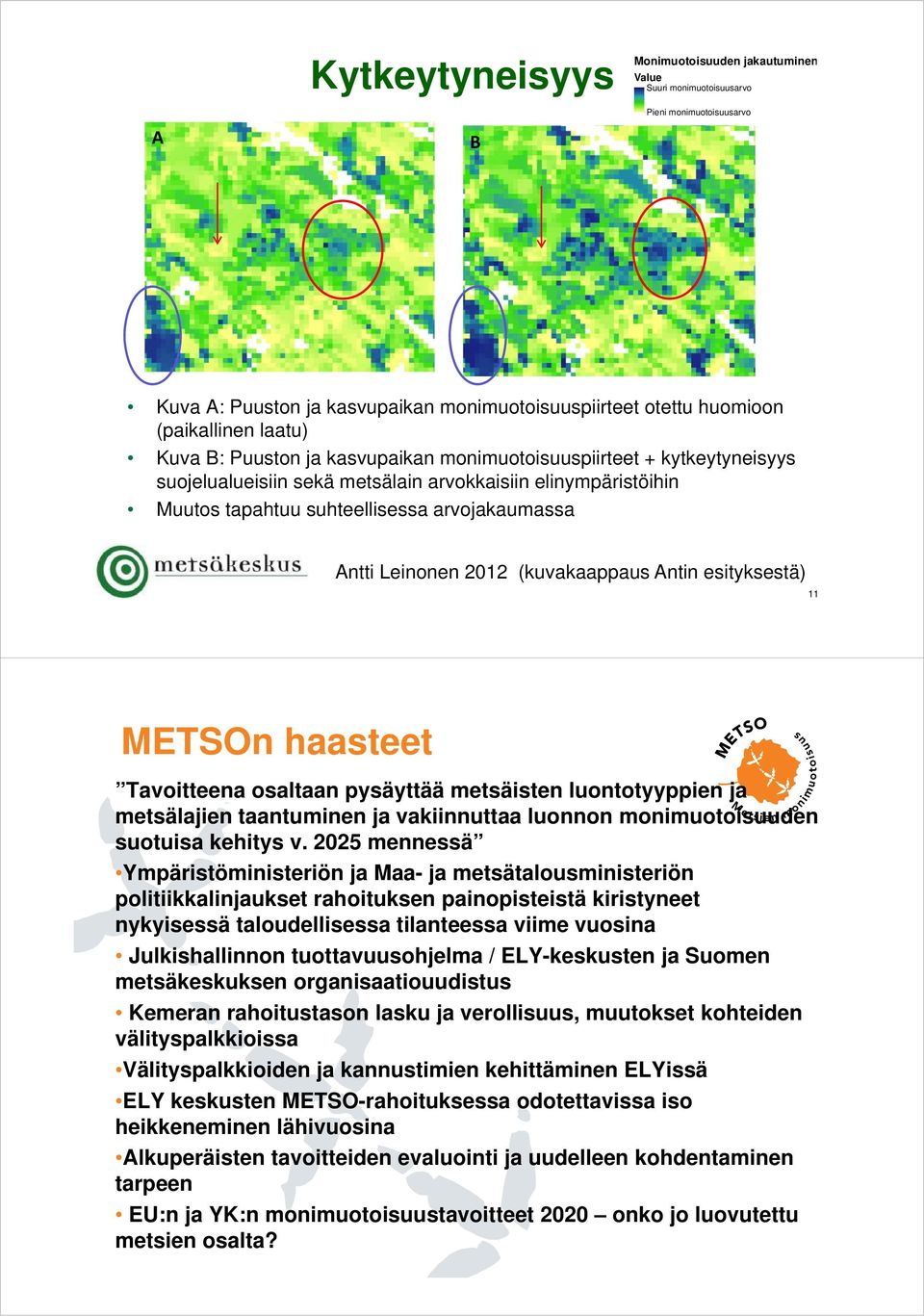 2012 (kuvakaappaus Antin esityksestä) 11 METSOn haasteet Tavoitteena osaltaan pysäyttää metsäisten luontotyyppien ja metsälajien taantuminen ja vakiinnuttaa luonnon monimuotoisuuden suotuisa kehitys