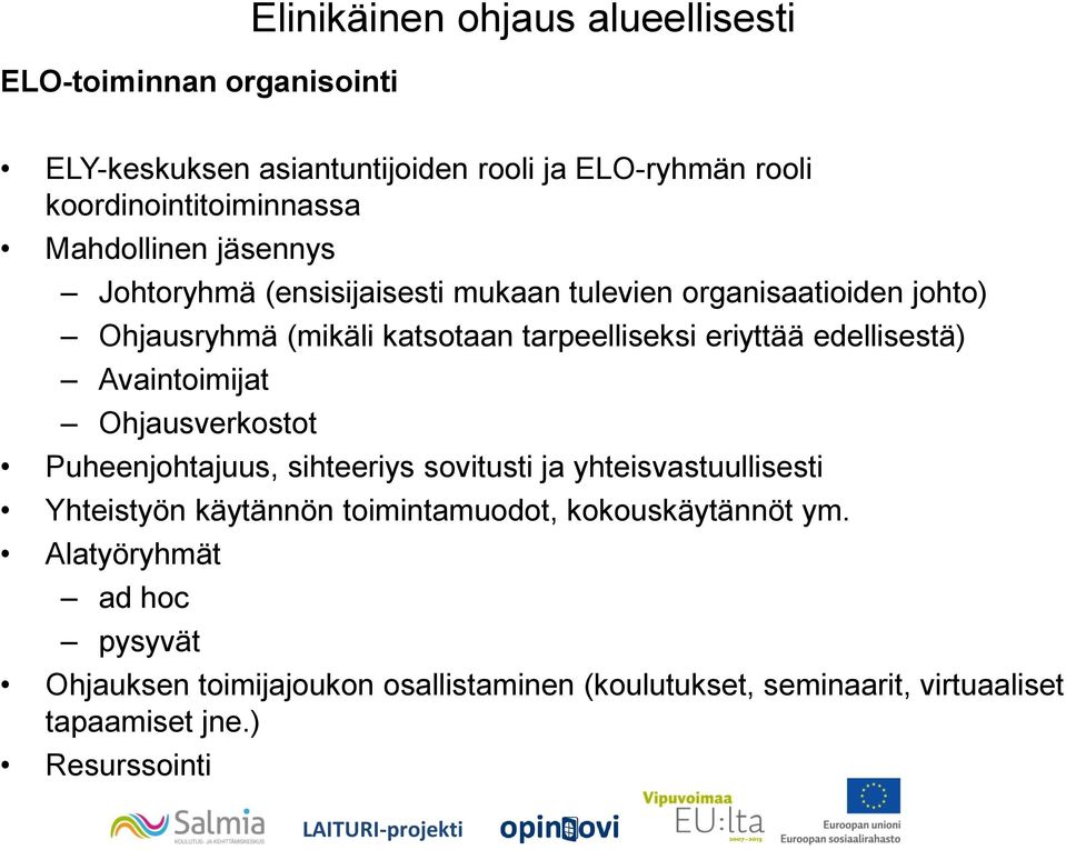 edellisestä) Avaintoimijat Ohjausverkostot Puheenjohtajuus, sihteeriys sovitusti ja yhteisvastuullisesti Yhteistyön käytännön toimintamuodot,