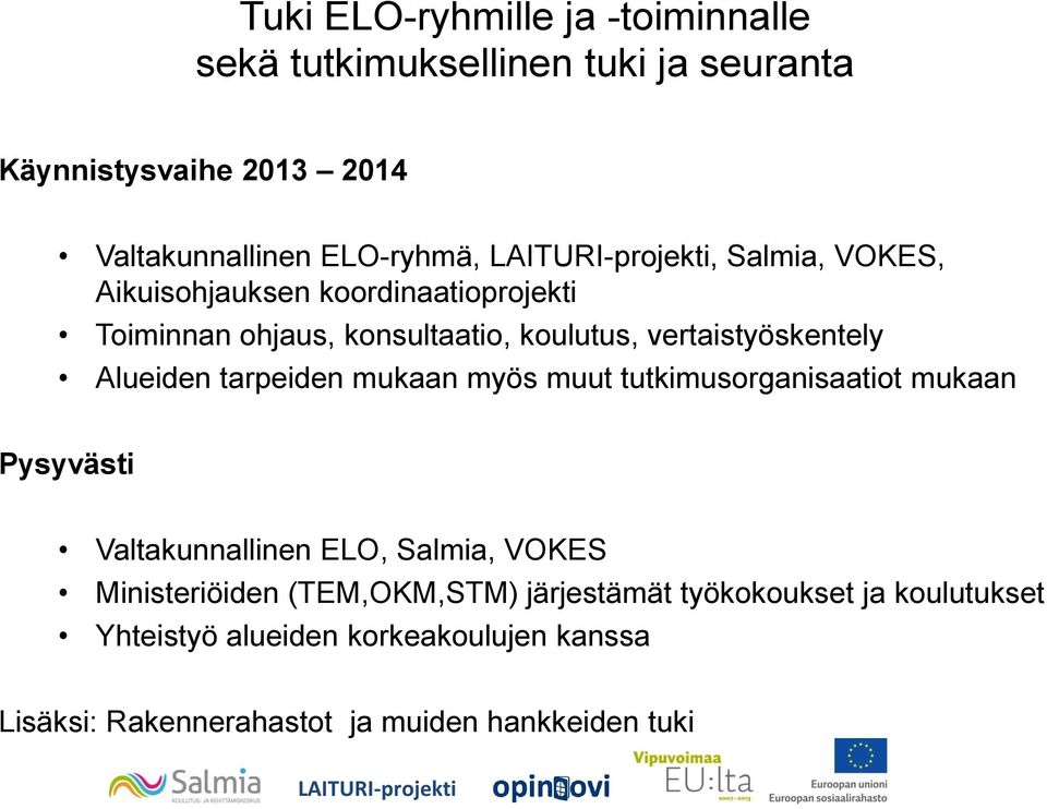 tarpeiden mukaan myös muut tutkimusorganisaatiot mukaan Pysyvästi Valtakunnallinen ELO, Salmia, VOKES Ministeriöiden