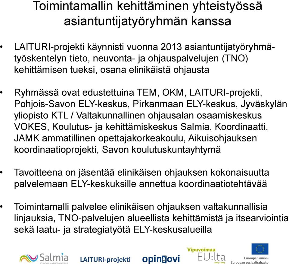 kehittämiskeskus Salmia, Koordinaatti, JAMK ammatillinen opettajakorkeakoulu, Aikuisohjauksen koordinaatioprojekti, Savon koulutuskuntayhtymä Tavoitteena on jäsentää elinikäisen ohjauksen