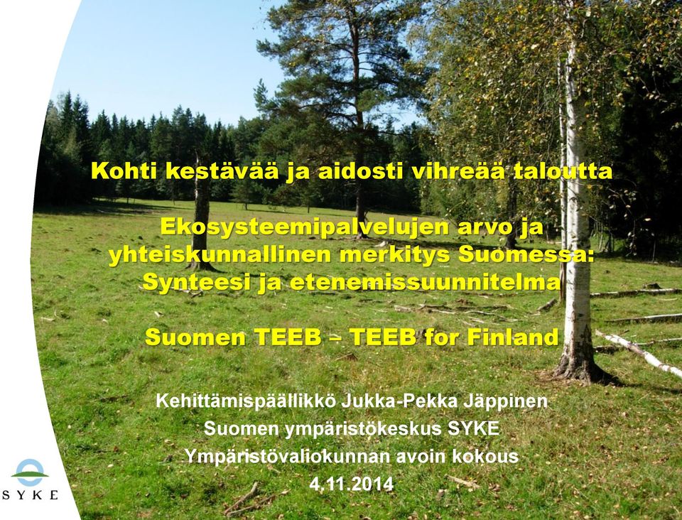 etenemissuunnitelma Suomen TEEB TEEB for Finland Kehittämispäällikkö