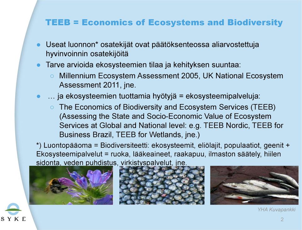 ja ekosysteemien tuottamia hyötyjä = ekosysteemipalveluja: The Economics of Biodiversity and Ecosystem Services (TEEB) (Assessing the State and Socio-Economic Value of Ecosystem Services at Global