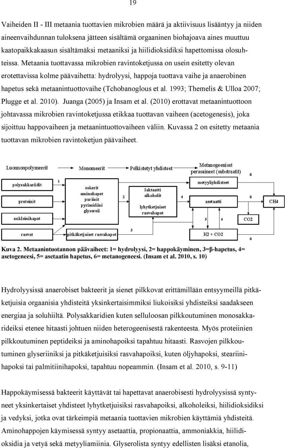 Metaania tuottavassa mikrobien ravintoketjussa on usein esitetty olevan erotettavissa kolme päävaihetta: hydrolyysi, happoja tuottava vaihe ja anaerobinen hapetus sekä metaanintuottovaihe