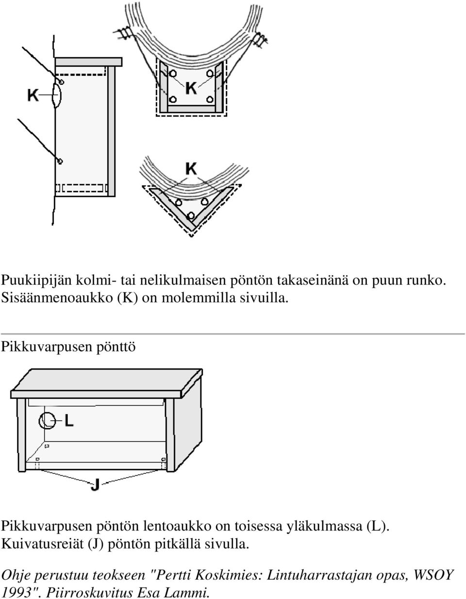 Pikkuvarpusen pönttö Pikkuvarpusen pöntön lentaukk n tisessa yläkulmassa (L).