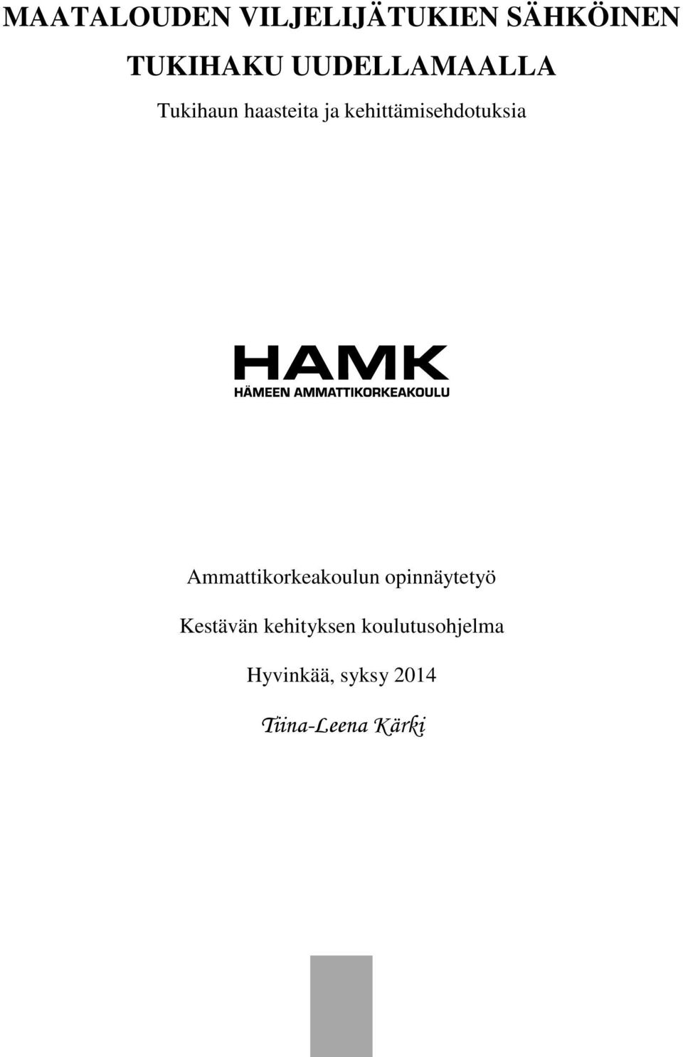kehittämisehdotuksia Ammattikorkeakoulun