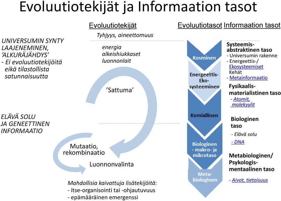 Kehät - Metainformaatio Fysikaalismaterialistinen taso - Atomit, molekyylit ELÄVÄ SOLU JA GENEETTINEN INFORMAATIO Mutaatio, rekombinaatio Luonnonvalinta Mahdollisia