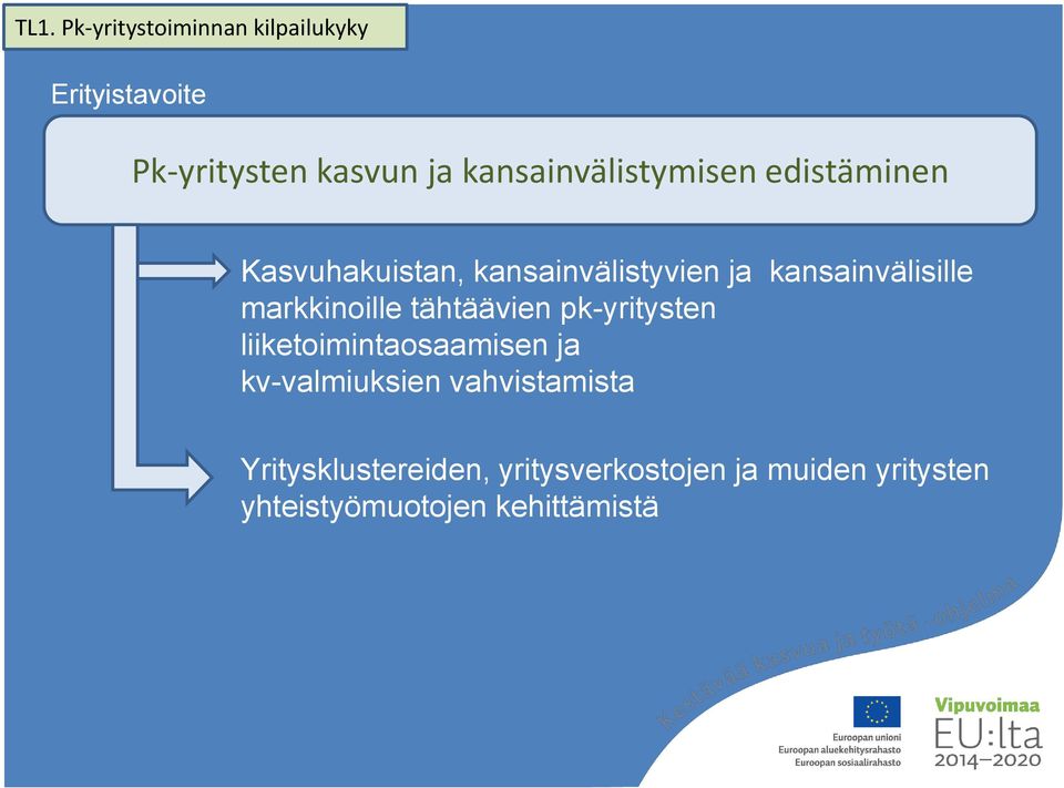 kansainvälisille markkinoille tähtäävien pk-yritysten liiketoimintaosaamisen ja