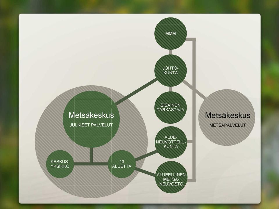 METSÄPALVELUT ALUE- NEUVOTTELU- KUNTA