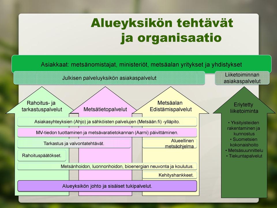 fi) -ylläpito. MV-tiedon tuottaminen ja metsävaratietokannan (Aarni) päivittäminen. Rahoituspäätökset. Tarkastus ja valvontatehtävät.