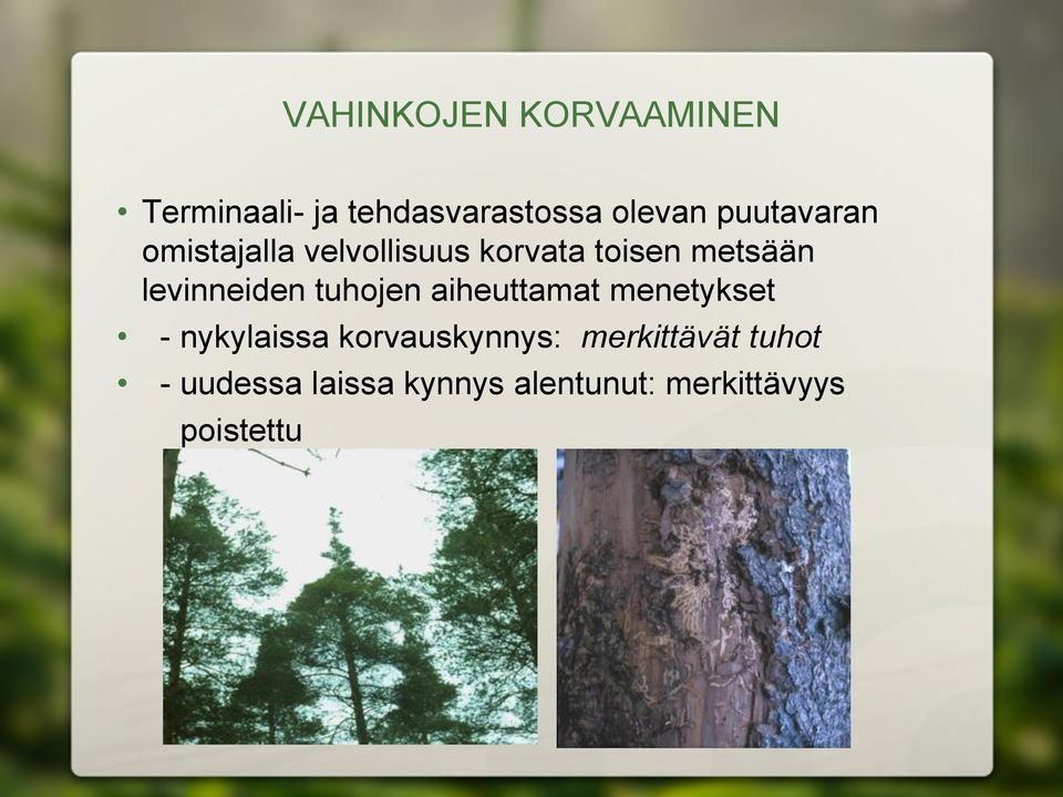 levinneiden tuhojen aiheuttamat menetykset - nykylaissa