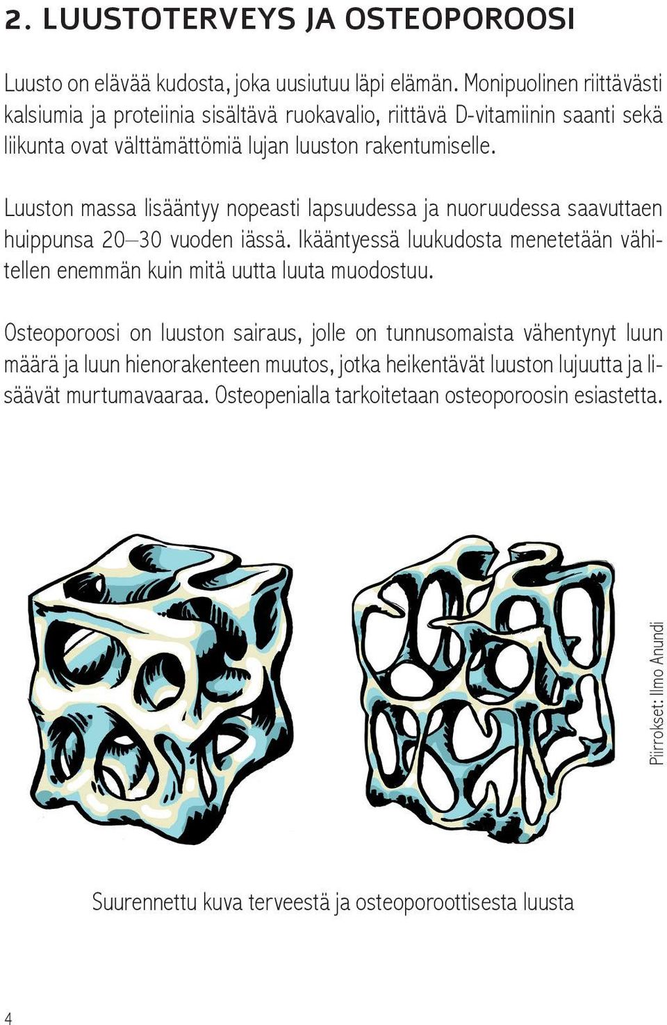 Luuston massa lisääntyy nopeasti lapsuudessa ja nuoruudessa saavuttaen huippunsa 20 30 vuoden iässä. Ikääntyessä luukudosta menetetään vähitellen enemmän kuin mitä uutta luuta muodostuu.