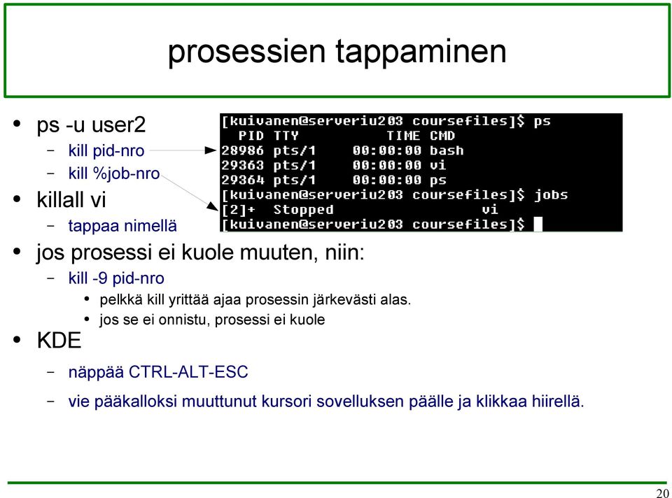 ajaa prosessin järkevästi alas.