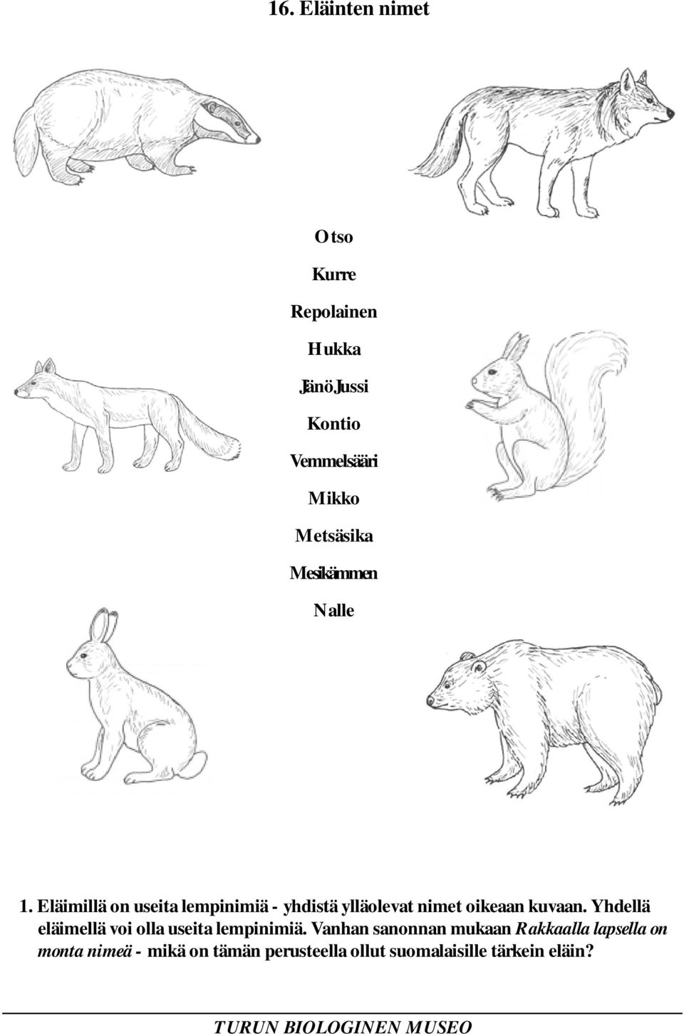 Eläimillä on useita lempinimiä - yhdistä ylläolevat nimet oikeaan kuvaan.
