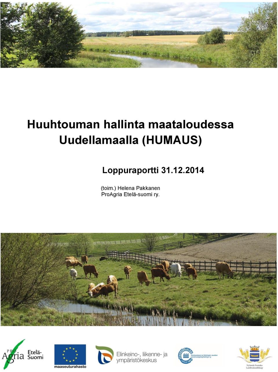 (HUMAUS) Loppuraportti 31.12.