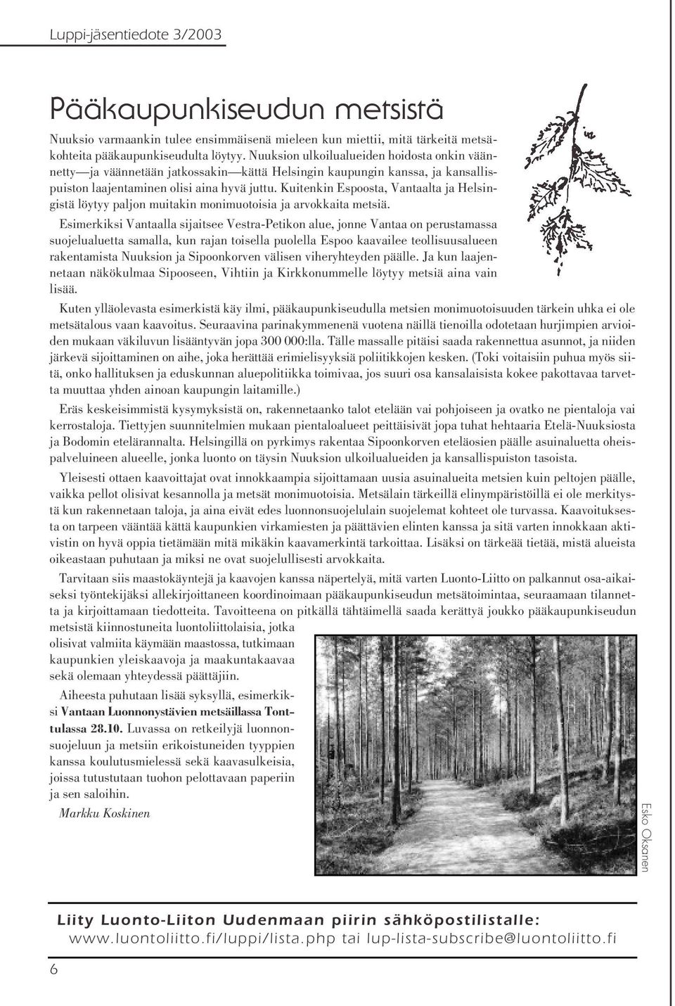 Kuitenkin Espoosta, Vantaalta ja Helsingistä löytyy paljon muitakin monimuotoisia ja arvokkaita metsiä.