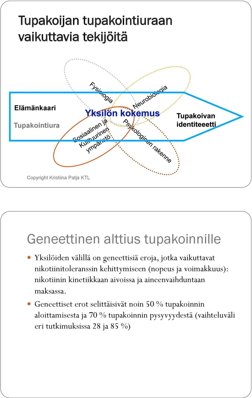 voimakkuus): nikotiinin kinetiikkaan aivoissa ja aineenvaihduntaan maksassa.