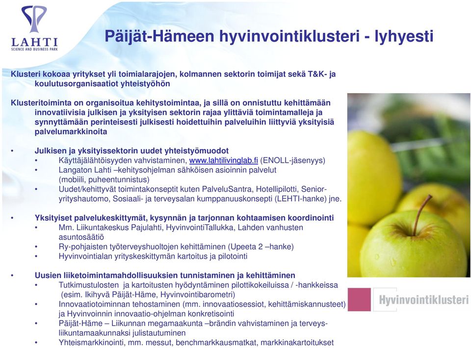 palveluihin liittyviä yksityisiä palvelumarkkinoita Julkisen ja yksityissektorin uudet yhteistyömuodot Käyttäjälähtöisyyden vahvistaminen, www.lahtilivinglab.