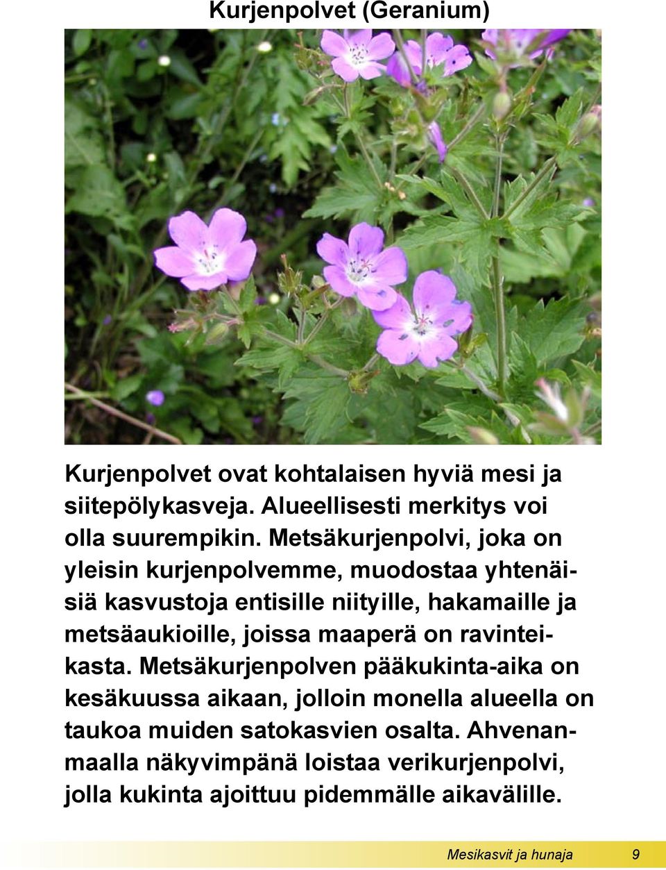 joissa maaperä on ravinteikasta.