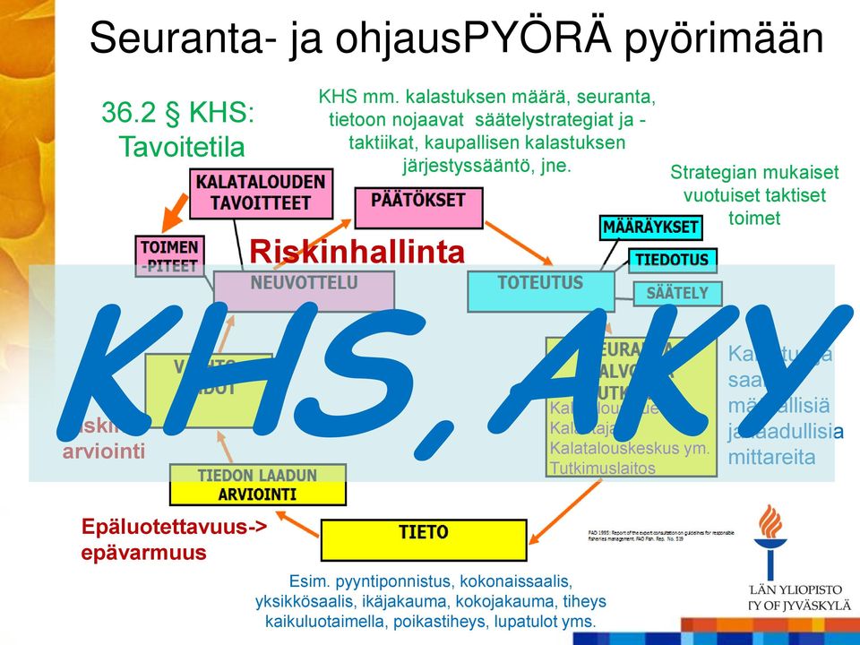 Riskinhallinta Strategian mukaiset vuotuiset taktiset toimet KHS,AKY Kalastus ja saalis, Kalatalousalue määrällisiä Riskin Kalastajat ja