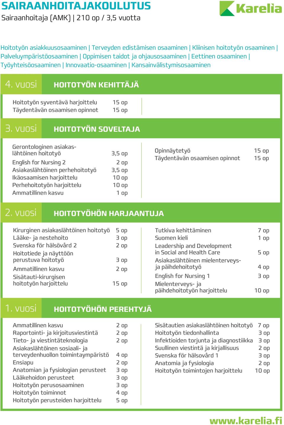 vuosi HOITOTYÖN KEHITTÄJÄ Hoitotyön syventävä harjoittelu Täydentävän osaamisen opinnot 3.