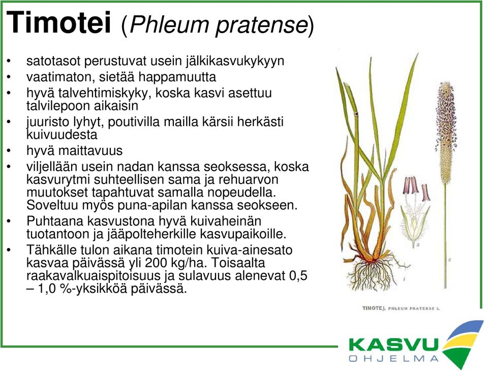 rehuarvon muutokset tapahtuvat samalla nopeudella. Soveltuu myös puna-apilan kanssa seokseen.