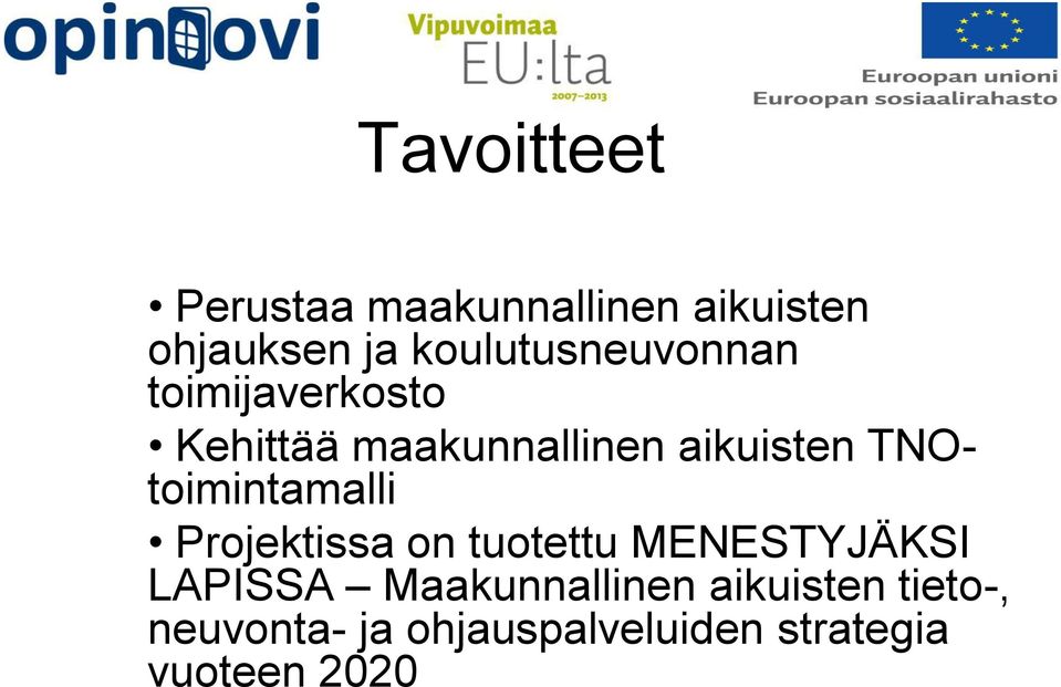 TNOtoimintamalli Projektissa on tuotettu MENESTYJÄKSI LAPISSA