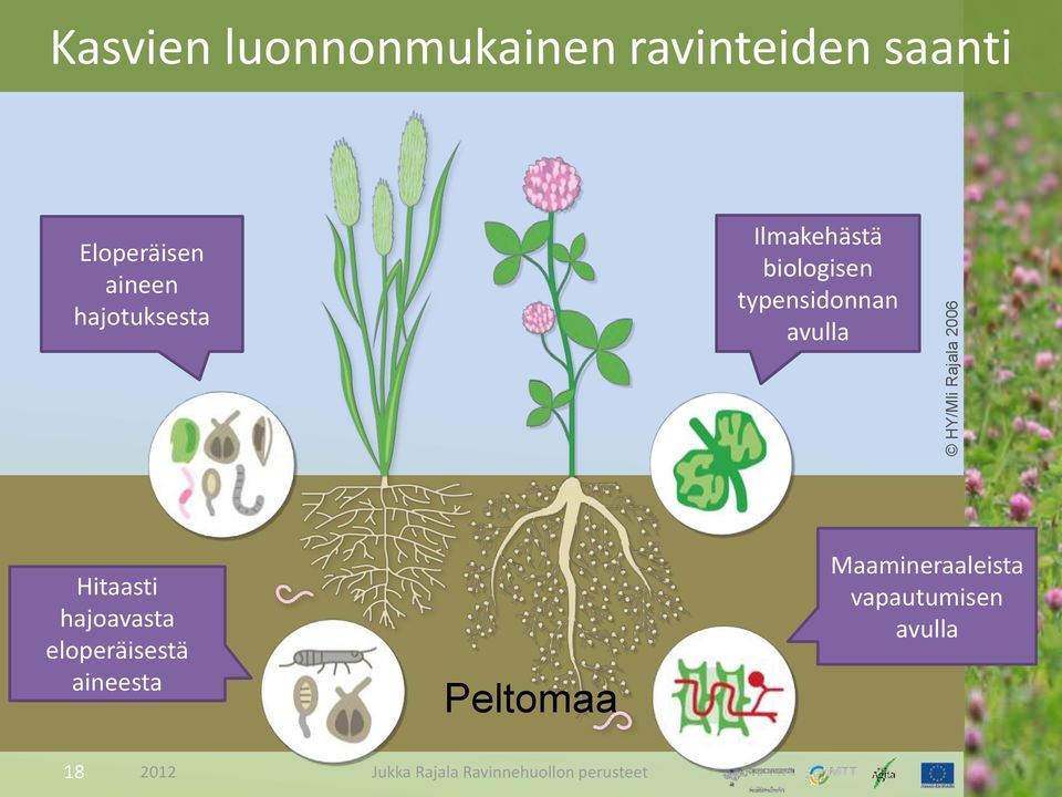 biologisen typensidonnan avulla Hitaasti hajoavasta