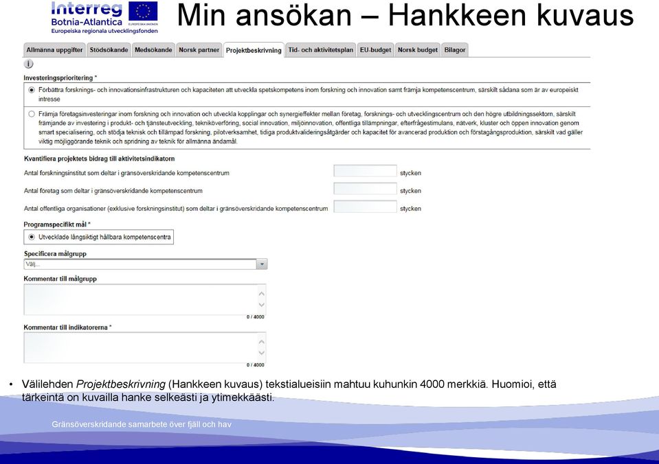 tekstialueisiin mahtuu kuhunkin 4000 merkkiä.