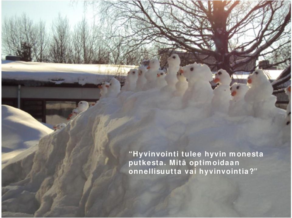 Mitä optimoidaan